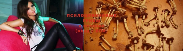 ALPHA-PVP Алексин