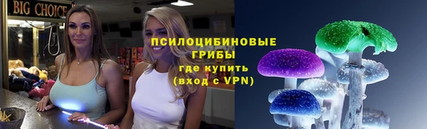стафф Алзамай