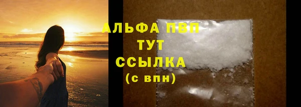стафф Алзамай