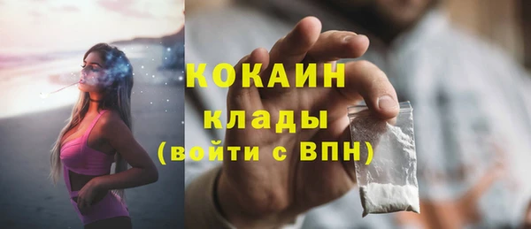 стафф Алзамай