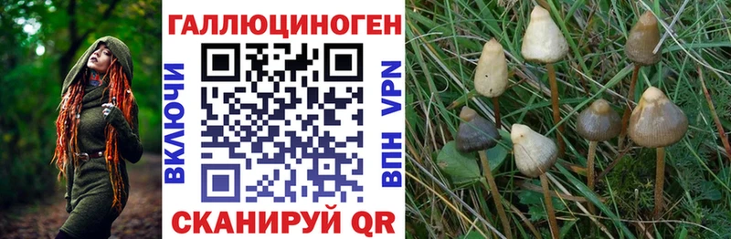 Галлюциногенные грибы MAGIC MUSHROOMS  МЕГА вход  Кола 